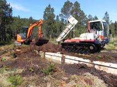 Abdeckung der Holzspundwand mit Torf Abdeckung der Holzspundwand mit Torf
