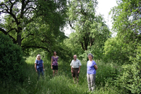Juroren Naturgartenzertifizierung Ostallgäu (von links): Friederike Scharpf, Helgard Richter, Erwin Schreyer und Sophie Arand